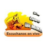 El Lobo de Mina - XHMTV | Station Logo