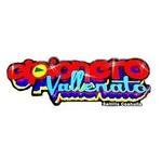 El Pionero Vallenato | Station Logo