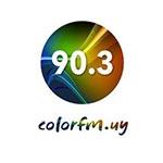 Color FM 90.3 | Station Logo