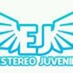 Estereo Juvenil 91.3 | Station Logo