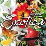 Exotica Radio | Station Logo