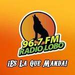 Radio Lobo - XHBY | Station Logo