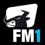 Radio FM1 - FM1 Gold | Station Logo