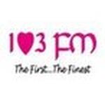 103FM | Station Logo