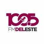 FM del Este 100.5 | Station Logo