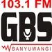 Radio GBS FM | Station Logo