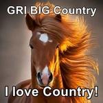 GRI Radio Network - GRI BIG Country | Station Logo