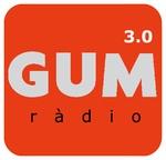 GUM FM Pirineus | Station Logo