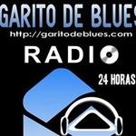 Garito de Blues | Station Logo