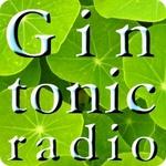 rockSateliteONE - GinTonicRadio | Station Logo