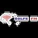 Golfe FM | Station Logo