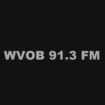 Gospel 91 - WVOB | Station Logo