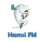 Hamsi FM | Station Logo