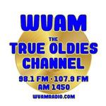 98.1 and 107.9 WVAM - WVAM | Station Logo