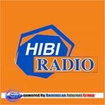 HIBI Radio 1070 AM | Station Logo