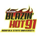 Hot 91.1 - WNSB | Station Logo