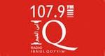 Radio Ibnul Qoyyim | Station Logo