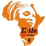 Ibile 9ja Radio | Station Logo