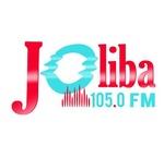 Joliba 105.0 FM | Station Logo