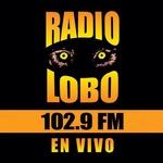 Radio Lobo - KIWI | Station Logo