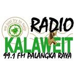 Kalaweit Radio | Station Logo