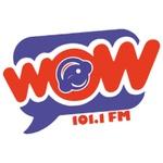 Wow 101.1 - XHDN | Station Logo