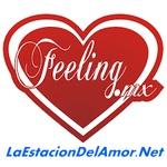 LaEstacionDelAmor.Net | Station Logo