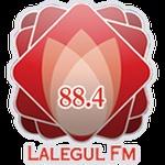 Radio Station logo