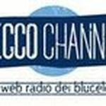 LeccoChannel | Station Logo