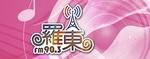 Radio Station logo