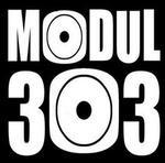 MODUL303 | Station Logo