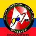 Radio Musical del Coca 96.7 | Station Logo