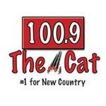 100.9 The Cat - WKLI-FM | Station Logo