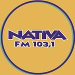 Nativa FM Joinville | Station Logo