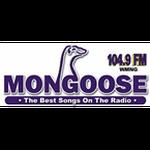 104.9 The Mongoose - WMNG | Station Logo