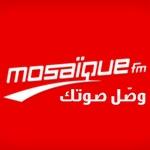 Mosaique FM Tarab | Station Logo