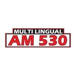 AM 530 Multicultural Radio - CIAO | Station Logo