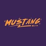 Mustang 88 FM | Station Logo