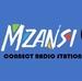 Mzansi Connect Radio Station | Station Logo