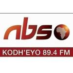 NBS - NBS Kodheyo | Station Logo