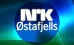 NRK P1 Telemark | Station Logo