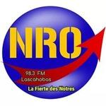 New Oriental FM (NRO) | Station Logo