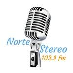 Norte Stereo 103.9 | Station Logo