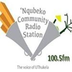 Nqubeko FM | Station Logo