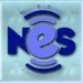 Nueva Era Sonica (NES)