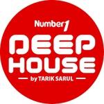 Number1 FM - Number1 Deep House | Station Logo