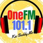 One FM 101.1 | Station Logo