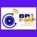 PDJ Radio | Station Logo