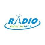 Radio Padul | Station Logo