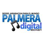 Palmera Digital | Station Logo